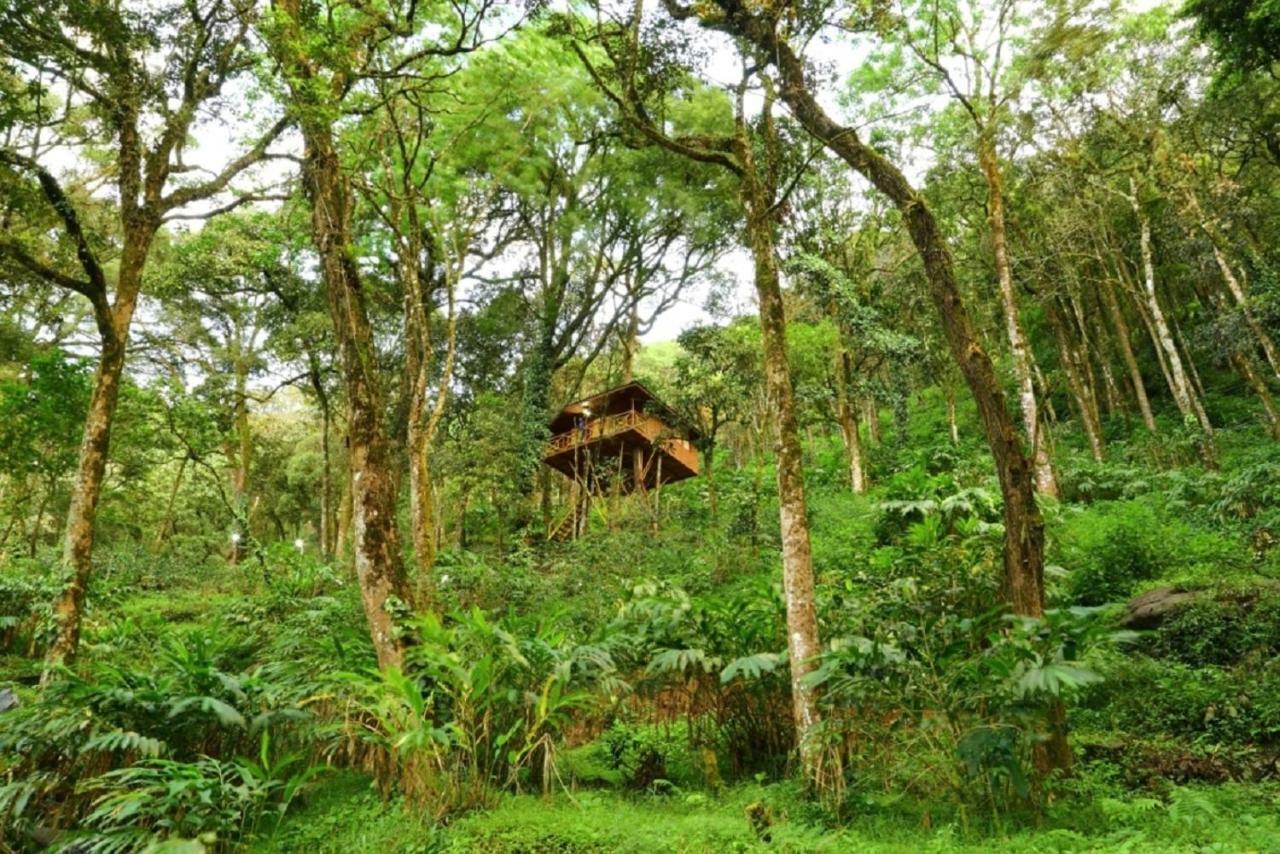 Seven Springs Resort Munnar Exterior foto